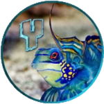 Ystorm Aquarium Owners