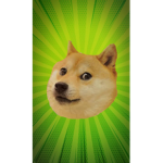 DOGE UNIVERSITY FOR DOGE