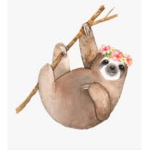 The tic toc sloths