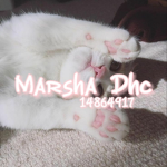 Marsha Dhc
