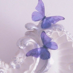 Galaxy Rose1009