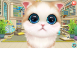 Sooo cute kitty