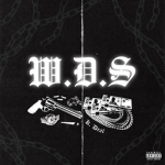 WDS*