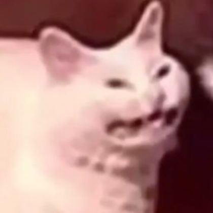 Cat Roblox decal