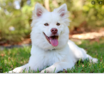 Bunney the queen!! <3 :)