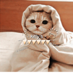 - kitty’s -