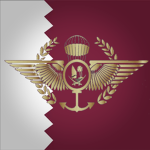 Qatari Emiri Joint Special Forces