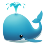Silly Whale