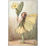 Fairy :))))
