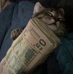 Fàte