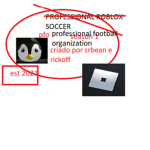 PFO - Professional Football Organization
