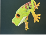 Support Albert/Flamingo