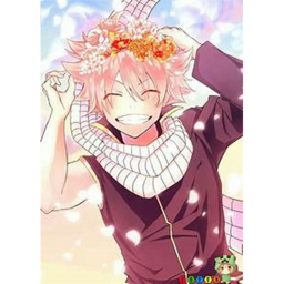 sun shines cafe {CHRISTMAS UPDATE}