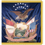 (14th Brooklyn) 84th New York Volunteer Infantry