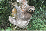 Sloth club of gamers