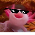 The Axolotl Family Group