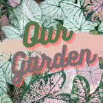 -Our Garden-
