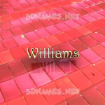 The Willams family {~}