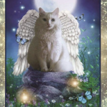 Angel cat Warriors