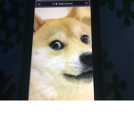 Doge doge !!!!!!!!!!!!!!!!!!!!!!!!!!!!!!!!!!!!!!!!