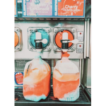 Tʀᴏᴘɪᴄ Sǫᴜᴀᴅ
