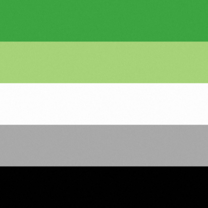 Pride Flag Aromantic Roblox decal