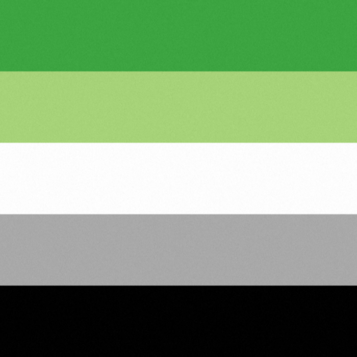 Pride Flag Aromantic Roblox decal