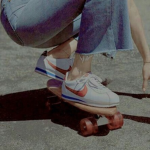 skaterbees