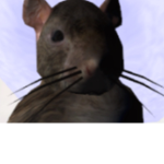 Finest rat club
