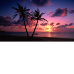 - relaxing -