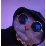 Cookie’s shirts