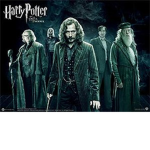 The Order Of The Phoenix (Harry Potter)