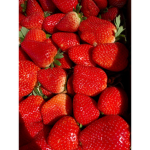 Cassie’s group (Strawberries)