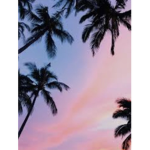Summer sunset girl