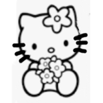 The kitty groupʕ•ᴥ•ʔ