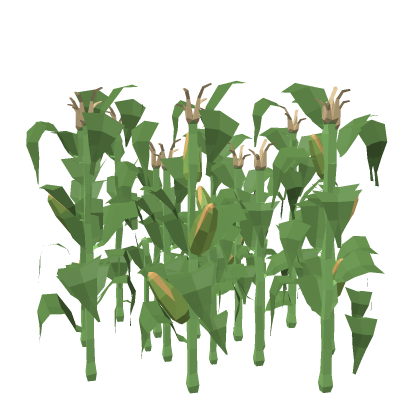 Interactive Grass Models