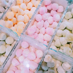 Mini Mochi Designs