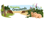 grasslands/woodlands in tpt2