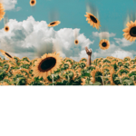 LOVE BTS YOUSELF