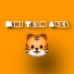 Mini Team Axel