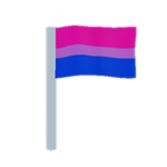 bi flag