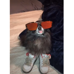 Črîśîś vībès