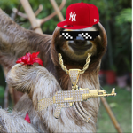 saver sloths