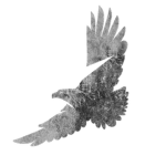 Rivarn