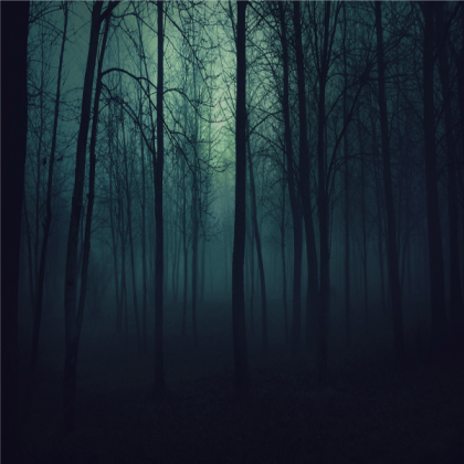 Forest-Trees-At-Night-Wallpaper Roblox decal