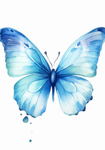 Berryloving Butterflies