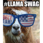 SwAgGy LlaMaS