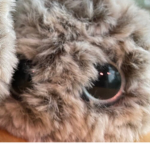 Fluffy Playz Army