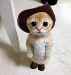 Kawaii Thuggers