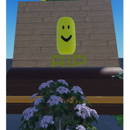 oof funeral :(